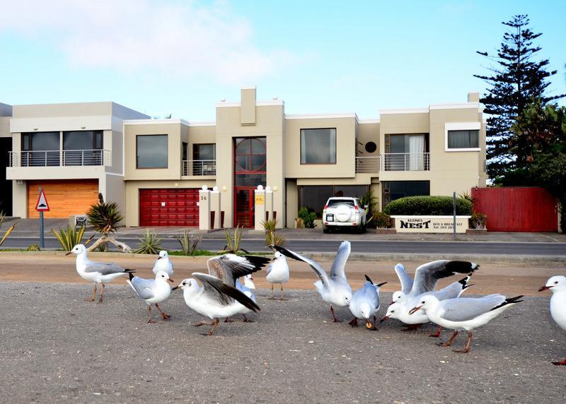 Kleines Nest Bed And Breakfast Walvis Bay Exteriér fotografie